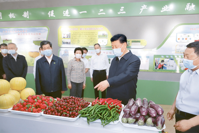 以马克思主义政治经济学为指导，开拓初级农产品发展新境界