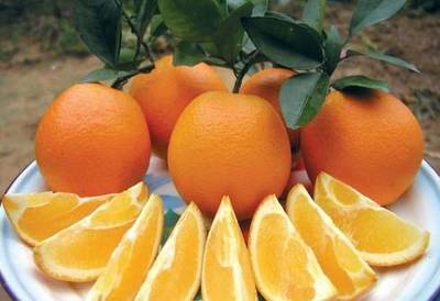 江西国字号农产品品牌，熠熠生辉的农业名片