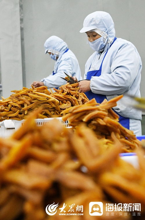 山东枣庄 扶贫车间生产忙 蔬菜产业助增收