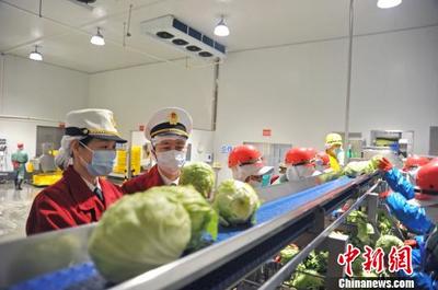 广东外贸上半年稳健增长，民企与蔬菜出口成为亮点