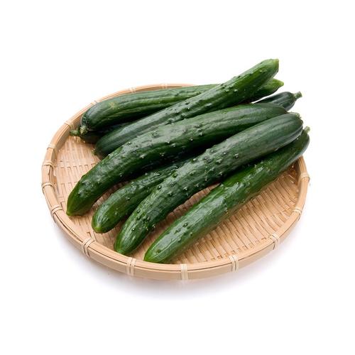 有机 应季蔬菜 随机配套餐 套餐内蔬菜属于