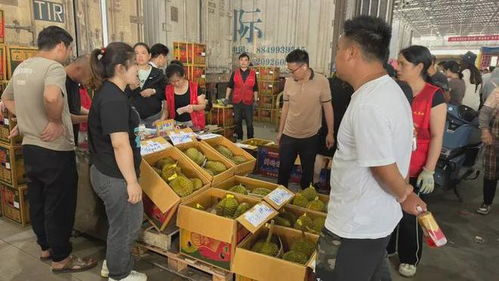 胶州人钟爱的初级农产品 跌破10元/斤的美食热潮